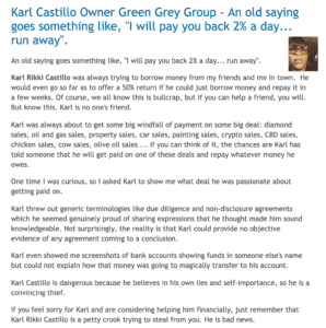 Karl Castillo London SW20 Owner Green Grey Hibaca